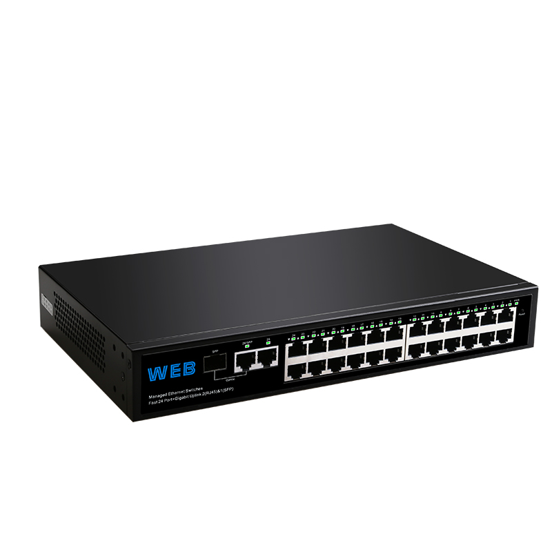 24-port 10/100Mbps + 2-port Gi - đánh giá và giá Managed Switch 24 Port Gigabit